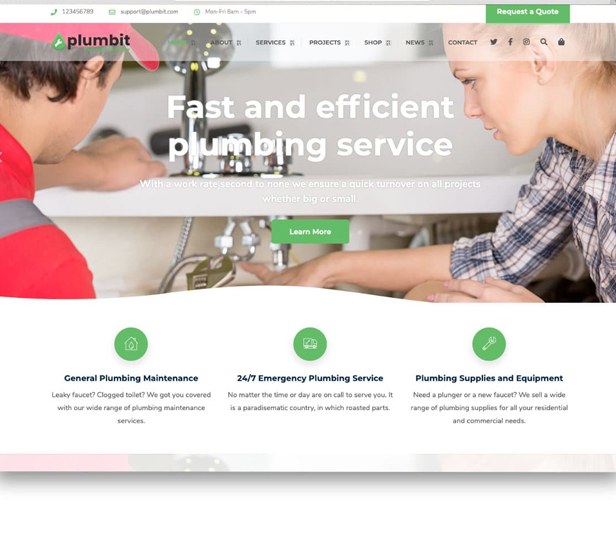 example websites created for INTOWNPLUMBING.COM.